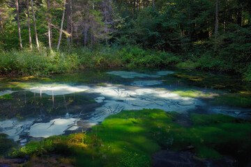 Naklejka na ściany i meble Saula cold pure fresh water blue spring, Estonia, Europe. Beautiful natural wonder in the woods by the hiking trail. Believed to be ancient offering site. Natural wonder. Siniallikad.