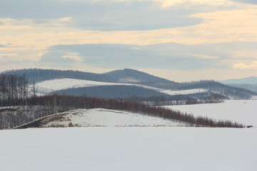 北海道はでっかいどう