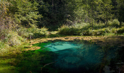 Fototapeta premium Saula cold pure fresh water blue spring, Estonia, Europe. Beautiful natural wonder in the woods by the hiking trail. Believed to be ancient offering site. Natural wonder. Siniallikad.
