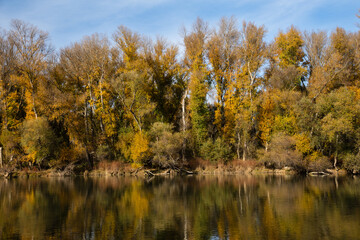 Fototapeta na wymiar Landscape with autumn trees on the shore of a river, with reflection in the water, a sunny day, in Navarra, Spain, horizontal
