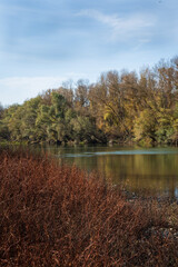 Fototapeta na wymiar Landscape with autumn trees on the bank of a river, a sunny day, in Navarra, Spain, vertical