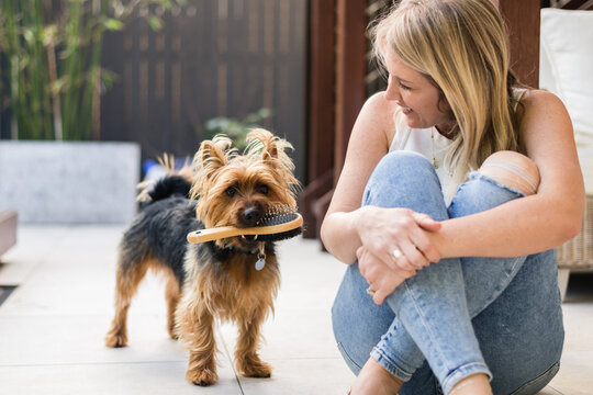 woman sitting with her dog who is holding a dog grooming brush in his mouth