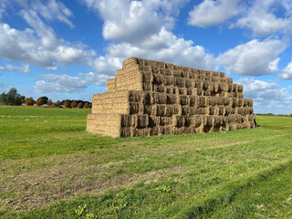 bales of hay, field, nature,