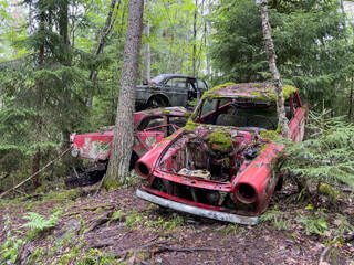 Autofriedhof Båstnäs in Schweden
