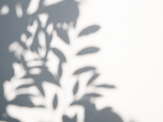 Shadow plant leaf textured minimalism backdrop cemment  background for mock up