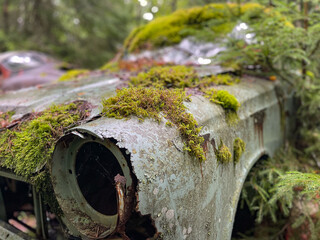 Autofriedhof Båstnäs in Schweden