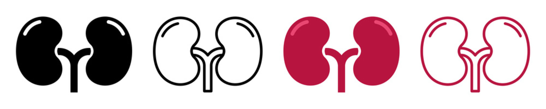 Set of human kidney vector icons. Silhouette with internal organs. Outline icons. Vector 10 EPS.