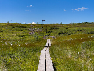 Obraz premium Wanderweg im Fulufjället Nationalpark in Schweden