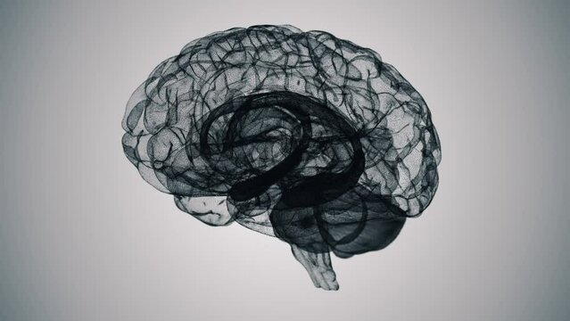 Seamless Loop of a Wireframe 3D Brain Model on White Background