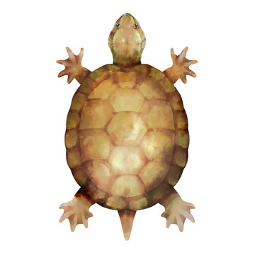 上から見た Images Browse 865 Stock Photos Vectors And Video Adobe Stock