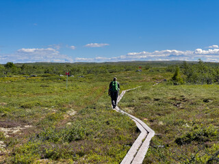 Wanderer im Fulufjället Nationalpark in Schweden