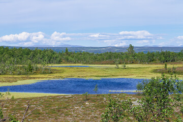 Moorlandschaft am Flatruetvägen in Schweden