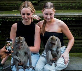 Naklejka premium Monkey forest of Bali