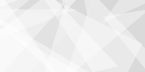 Fototapeta premium Abstract background with gray background with texture, white abstract modern background. Geometry shine and layer element vector for presentation design. Decorative web layout or poster, banner.design