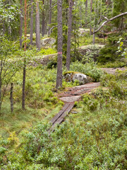 Tiveden Nationalpark