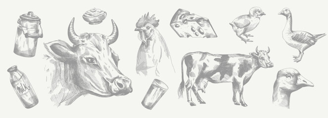 Cow, rooster, chicken, goose, dairy products. Set of vector illustrations. Pencil sketch. Engraving style. Tattoo. Collection of drawn elements.