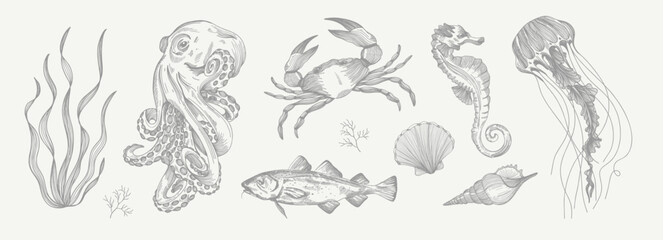 Octopus, seaweed, crab, trout, fish, shells, pearl, seahorse, jellyfish. Set of vector illustrations. Pencil sketch. Engraving style. Tattoo. Collection of drawn elements. © Molibdenis-Studio