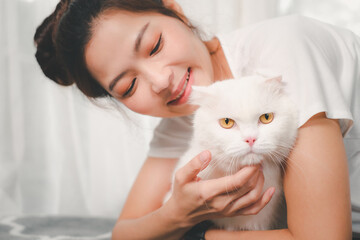 Young asian woman playing with white cat.selective focus on cat.
