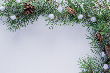 Christmas white background with fir branches. Frame made of fir tree branches with copy space.