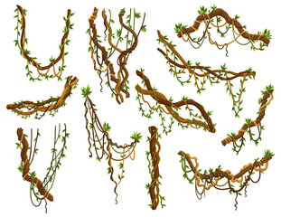 Set of twisted wild lianas branches. Jungle vine plants. Rainforest flora and exotic botany - obrazy, fototapety, plakaty