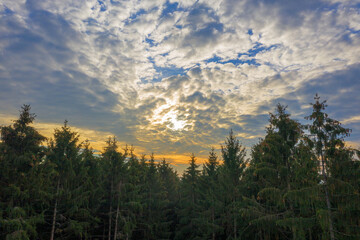 Obraz na płótnie Canvas Tannenspitzen bei Sonnenuntergang mit Wolken am Himmel 