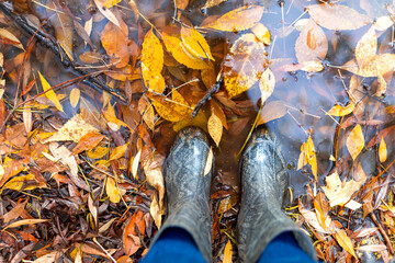 Feet in gray rubber boots are standing in a puddle where a lot of golden and yellow fallen leaves...