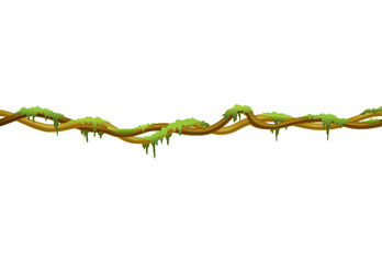 Liana stem border. Rainforest green moss hanging on branch. Cartoon jungle creeper. Tropical nature plant
