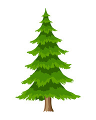 Tree. Eco concept of nature plant.  flat spruce evergreen coniferous tree icon isolated on white background. Garden botanical element