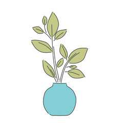 plant in a vase
