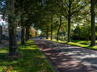 alley in the park