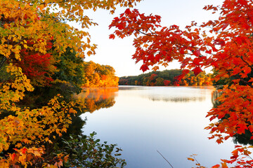 Beautiful New England Fall Foliage with water reflections at sunrise , Boston Massachusetts.