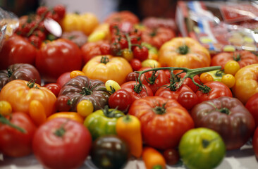 tomates naturales de diferentes clases y colores