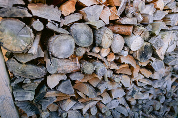 Feuerholz für die Energiekrise