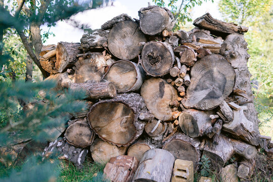 Feuerholz gesammelt f&uuml;r den Winter