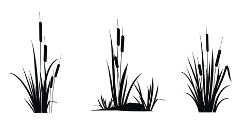 Cattail reeds - a set of silhouette drawings isolated on a white background. Vector icons illustration. - obrazy, fototapety, plakaty