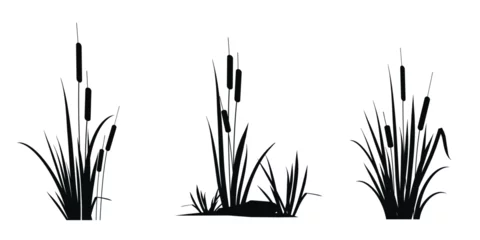 Foto op Canvas Cattail reeds - a set of silhouette drawings isolated on a white background. Vector icons illustration. © steadb