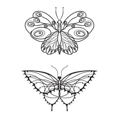 Detailed ornamental sketch of a moth,Hand drawn zentangle for adult anti stress.