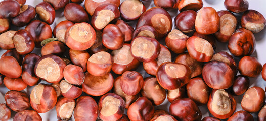 Chestnuts background. Cracked chestnuts. Not edible.
