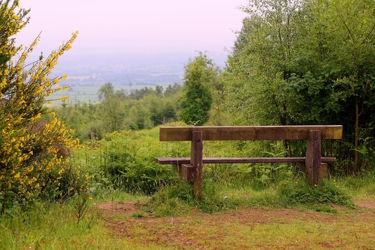 Lonely bench on the top of the foggy hill