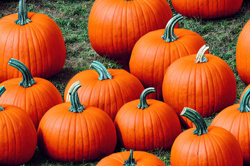 Fresh Pumpkin pattern 3d illustrated 
