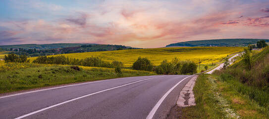 Spring rapeseed yellow blooming fields