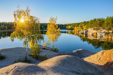 Beautiful golden birch trees on the shore of a granite quarry flooded with clear water in Korostyshiv, Ukraine