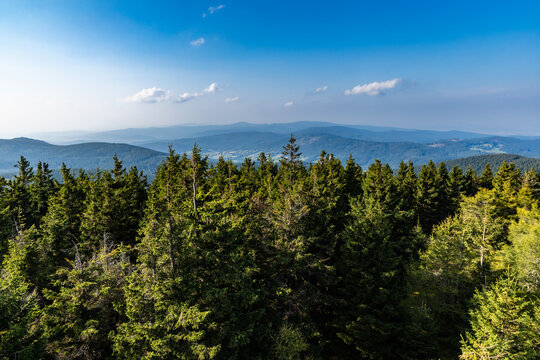 Beautiful panorama of Golden Mountains seen from top of observation tower at Czernica mountain