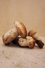 Close up of mushrooms