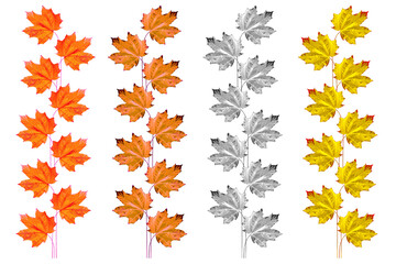 Fototapeta premium Stylized photo.Bright colorful autumn leaves. nature