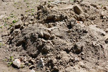 A pile of soil was formed during the gardening