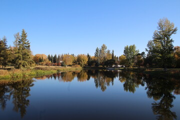 Fototapeta na wymiar autumn trees reflected in water, U of A Botanic Gardens, Devon, Alberta