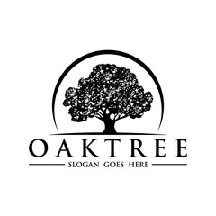 oak tree logo design inspiration