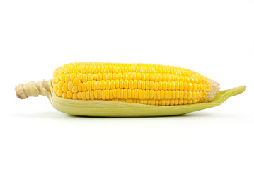 Close up of peeled sweet corn on a white background with clipping path, side view.