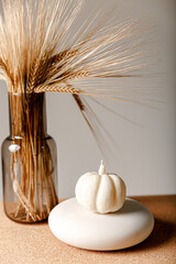 White candle pumpkin composition and dry wheat in dark glass vase